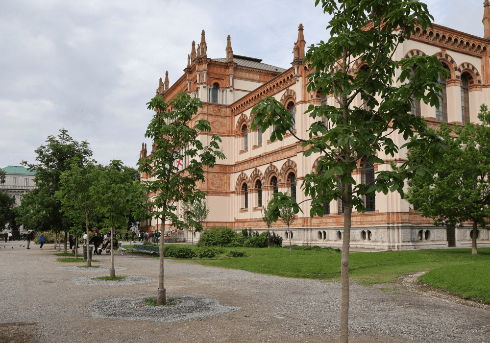 Recently planted trees at the Palazzo Marino from the ‘Milan for Trees’ initiative.